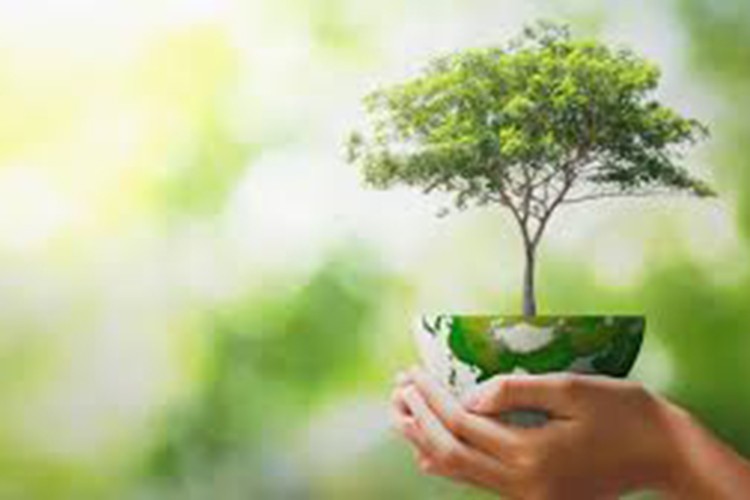 196 ülke lideri iklim için Türkiye'de masaya oturacak