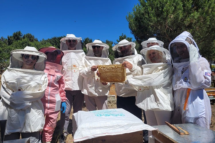 Arıcılık, kadın eliyle en verimli dönemini yaşıyor