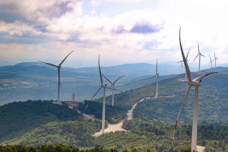 1.8 Milyon Dolarlık Dev Karbon Kredisi Satışı