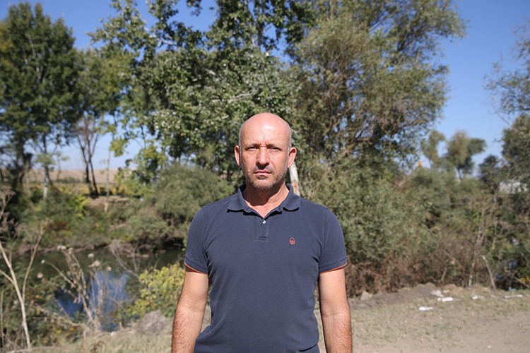 Aşırı sıcak ve kuraklık, ayçiçeğinde verimi düşürdü