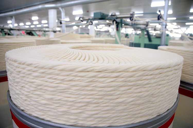 Pamuk fiyatlarıyla ilgili tahmin yapan yapay zeka destekli uygulama geliştirdiler