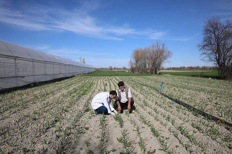 Çiftçiye 277 milyon lira destek