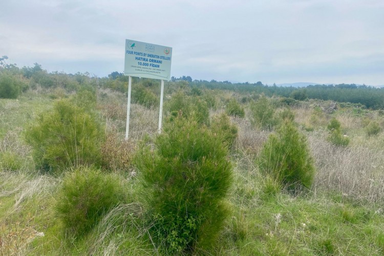 Four Points by Sheraton'dan Orman Haftası'na özel mesaj