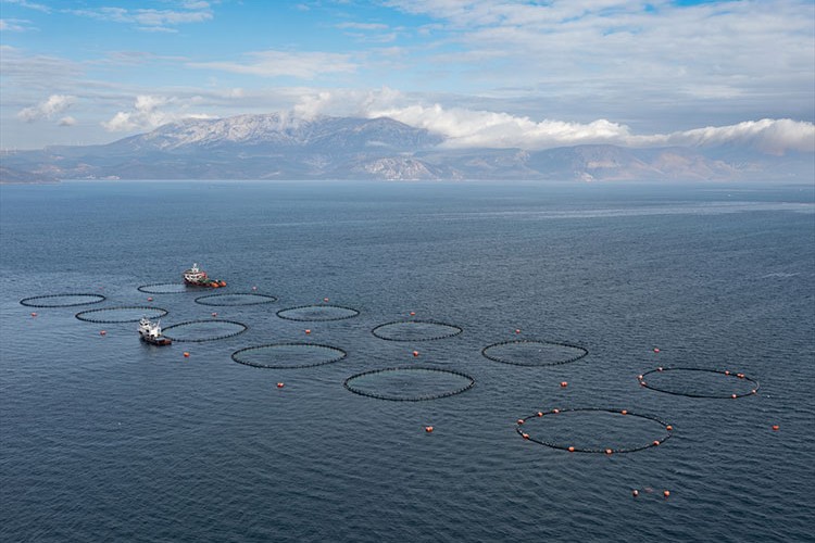 Orkinos ihracatında hedef iki katına çıkarmak