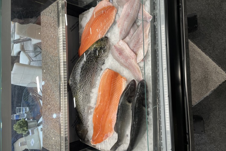 Türk su ürünleri ve hayvansal mamuller sektörü ABD pazarında 500 milyon dolar ihracat hedefliyor