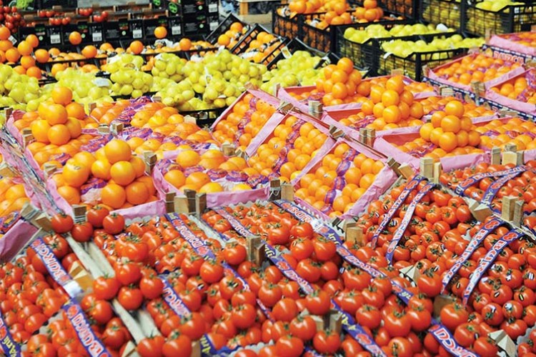 Serbest ticaret anlaşması meyve ihracatına yaradı