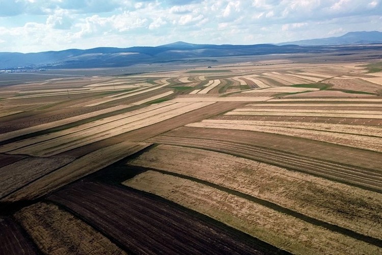 İşlenmeyen arazilere ilişkin kiralama süreci başlayacak