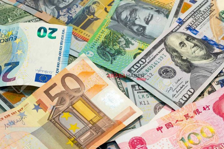 TCMB'nin döviz ihalesine teklif çıkmadı