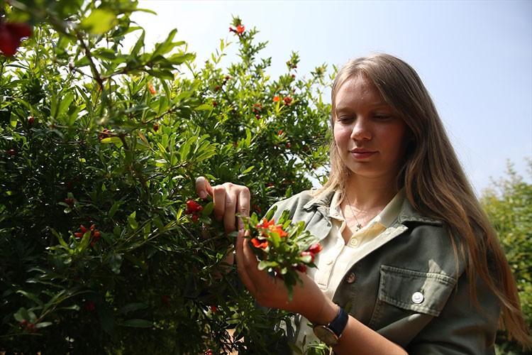 Amacı ürünlerini tüketiciye aracısız olarak ulaştırmak
