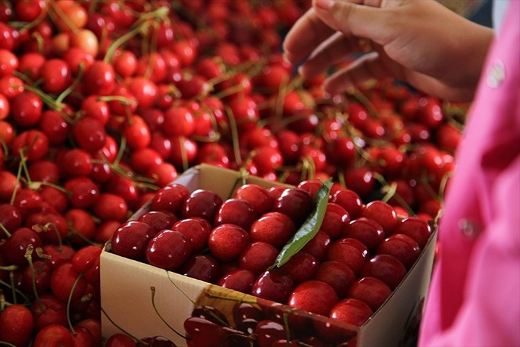 İhracatta rekor sevinci