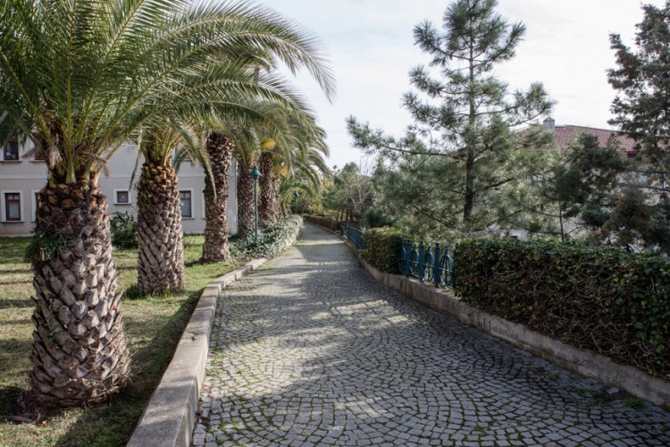 TEV İnanç Türkeş Özel Lisesi (TEVİTÖL), BİLSEM Öğrencilerine Tam ve Kısmi Burs İmkânı Sunuyor