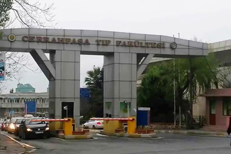 Eliza kiti satın alınacak