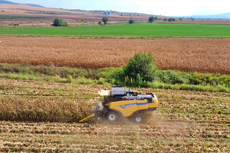 Osmaniye'de biçerdöverler mısır için tarlalara girdi