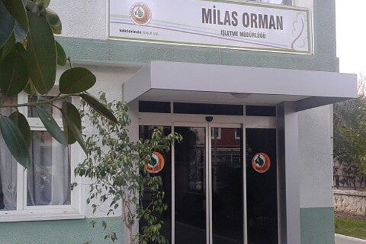 Danışmanlık hizmeti alınacak