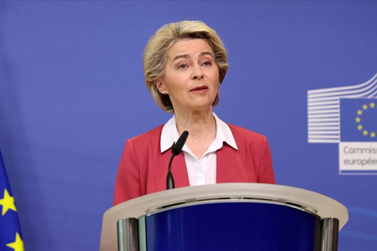 "Rus gazına fazla bağımlıyız, tedarikçileri artırmalıyız"