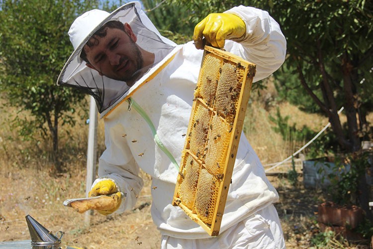 Erken hasat edilen tescilli bal, verimiyle üreticiyi mutlu etti