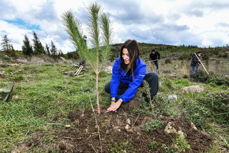 Enerjisa Üretim, 'Her Fidan Bir Umut' projesi ile Türkiye'nin ormanlarına 1 milyonu aşkın fidan dikiyor