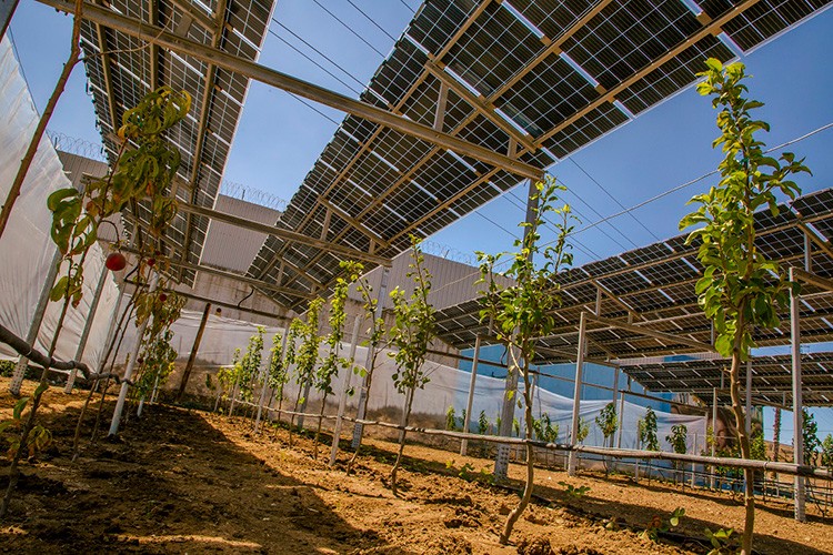Temiz enerjinin gölgesinde tarımsal üretim başladı