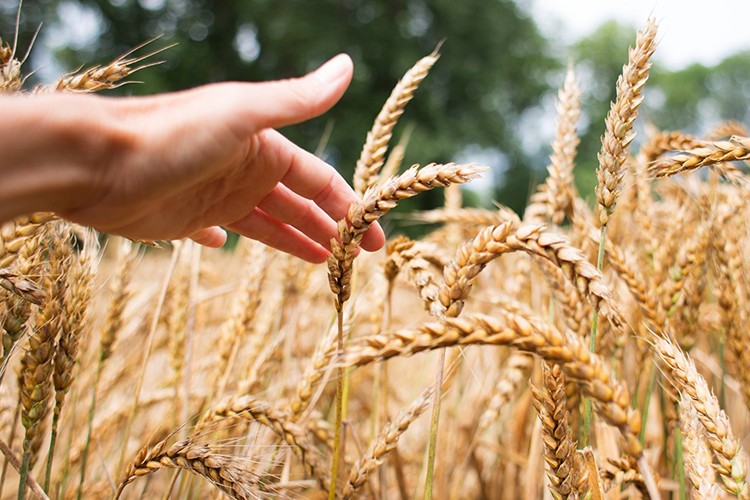 Kınık'ta Tarım İhtisas OSB hayata geçiyor
