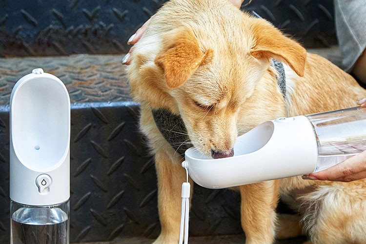 Gençler bavulunu paylaşıyor