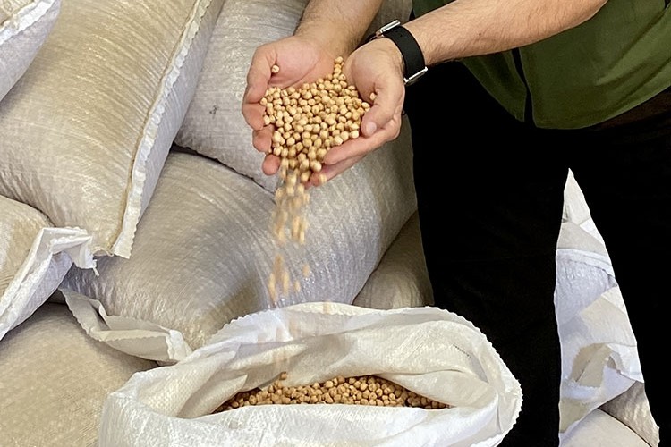 Kırşehir'de 700 bin dekara nohut ekilmesi hedefleniyor