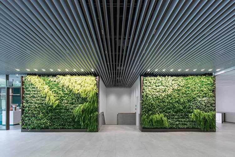 Durlum, Türkiye'deki 10. Yılını Kutluyor