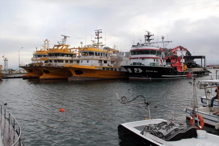 Karadenizli balıkçılar bereketli bir sezon bekliyor