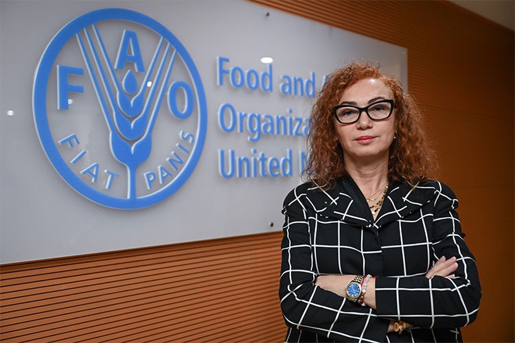 FAO, projelerinde iklim değişikliğine odaklandı