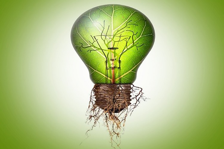 EPDK, yeni yılda uygulanacak yeşil enerji bedelini belirledi