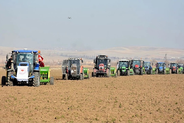 Kırıkkale'de atıl meralar üretime kazandırılıyor
