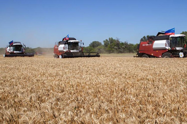 FAO: Gıda ve yem fiyatları yüzde 20 artabilir