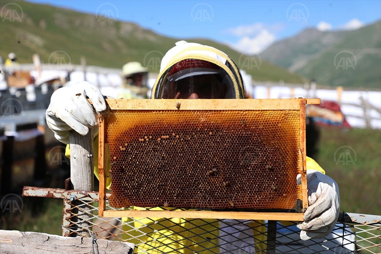 Yüksek verim bekleniyor