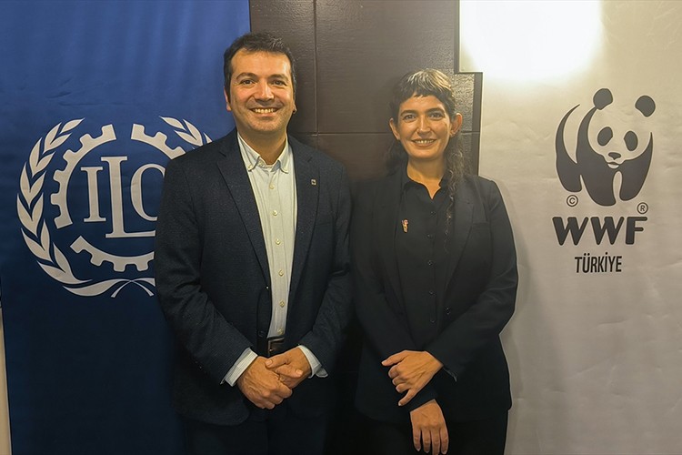 "Türkiye İçin Adil Geçiş Finansmanı Mekanizması Önerisi"