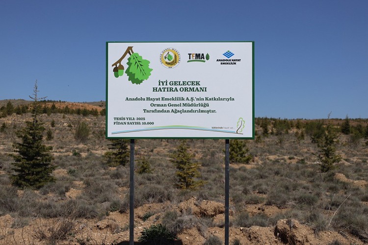 Doğaya 10 bin fidanlık katkı