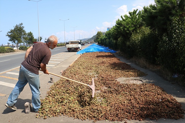 Kaldırımlarda fındık kurutma mesaisi başladı