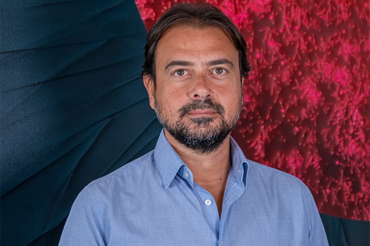 Ggirişimlere 2021 yılında yarım milyon dolara yakın yatırım!