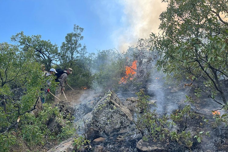 Tunceli'de ormanlık alanda örtü yangını çıktı