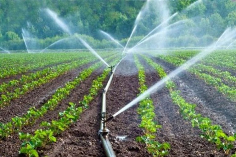 Sudaki yüzde 50 indiriminin uygulama esasları belirlendi