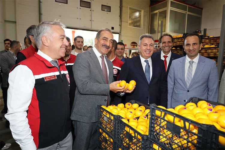 Satsuma yüklü tırlar sezonun ilk ihracatı için yola çıktı