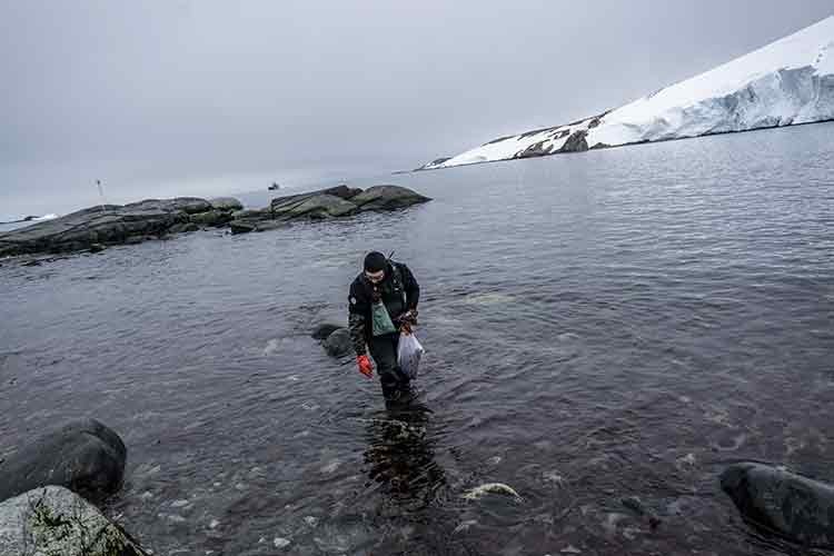 Türk bilim insanlarının Güney Kutbu'ndaki laboratuvarı Antarktika