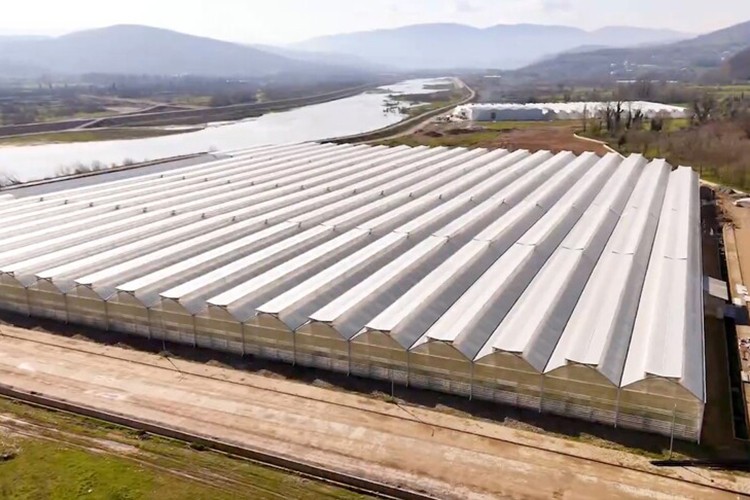 Çaycuma Sera OTB üretime başladı