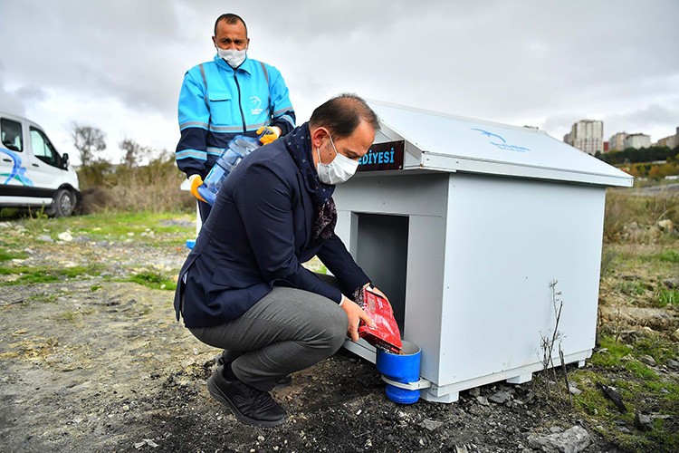 Beylikdüzü'nde kulübeler yerleştirildi