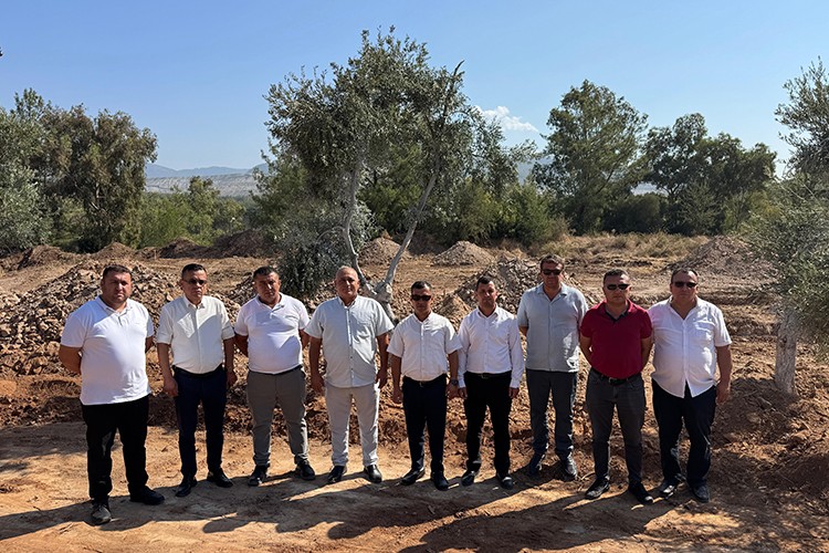 Santral sahalarındaki 151 zeytin ağacını yeni yerine taşıdı