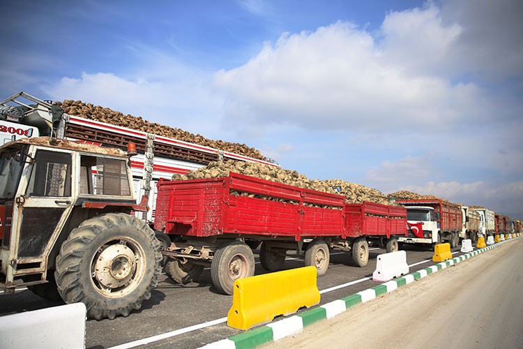 Eskişehir Şeker Fabrikası'nda pancar alımı başladı