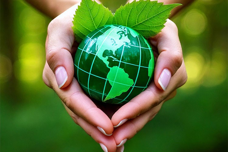 İzocam, EPD Belgesi ve RAL Sertifikası'yla ödüllendirildi