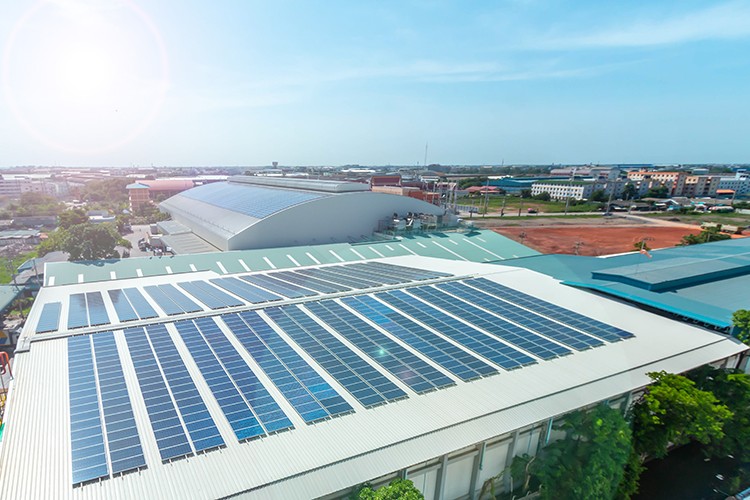 Yeni inovatif ürün