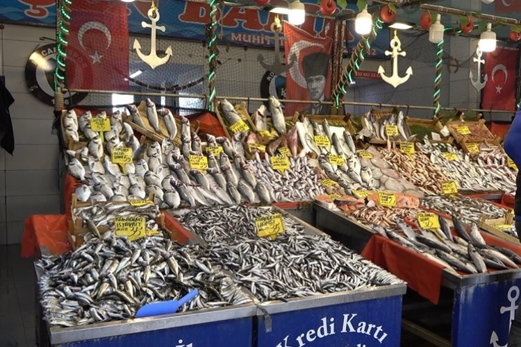 Hamsi 35 liraya düştü