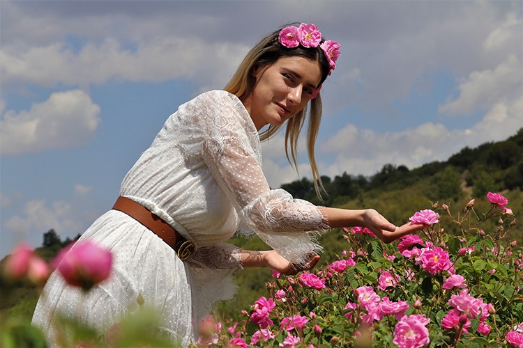 Gül kokulu bahçelerde hasat zamanı
