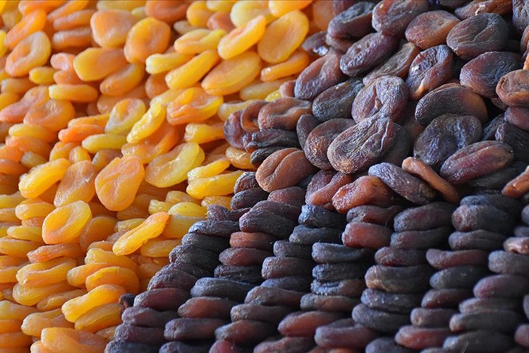 Kuru kayısı alım fiyatları belirlendi