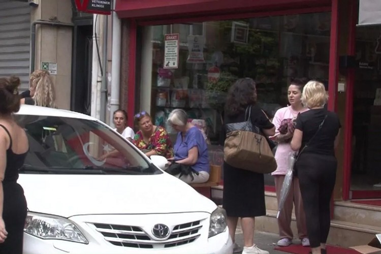 Kadıköy'de çok sayıda kedi ve köpek zehirlenerek öldürüldü